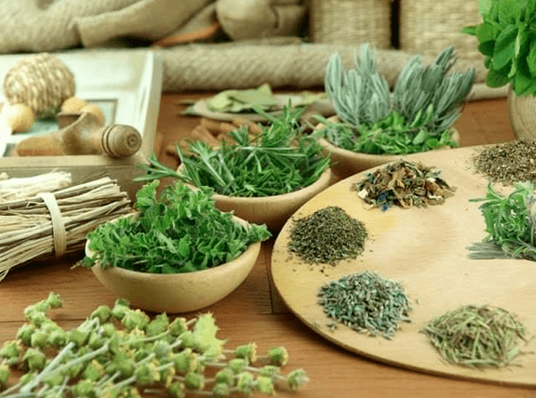 Herb for the treatment of powerlessness